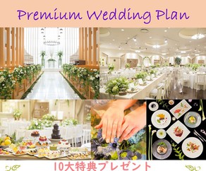 Premium Wedding Plan
