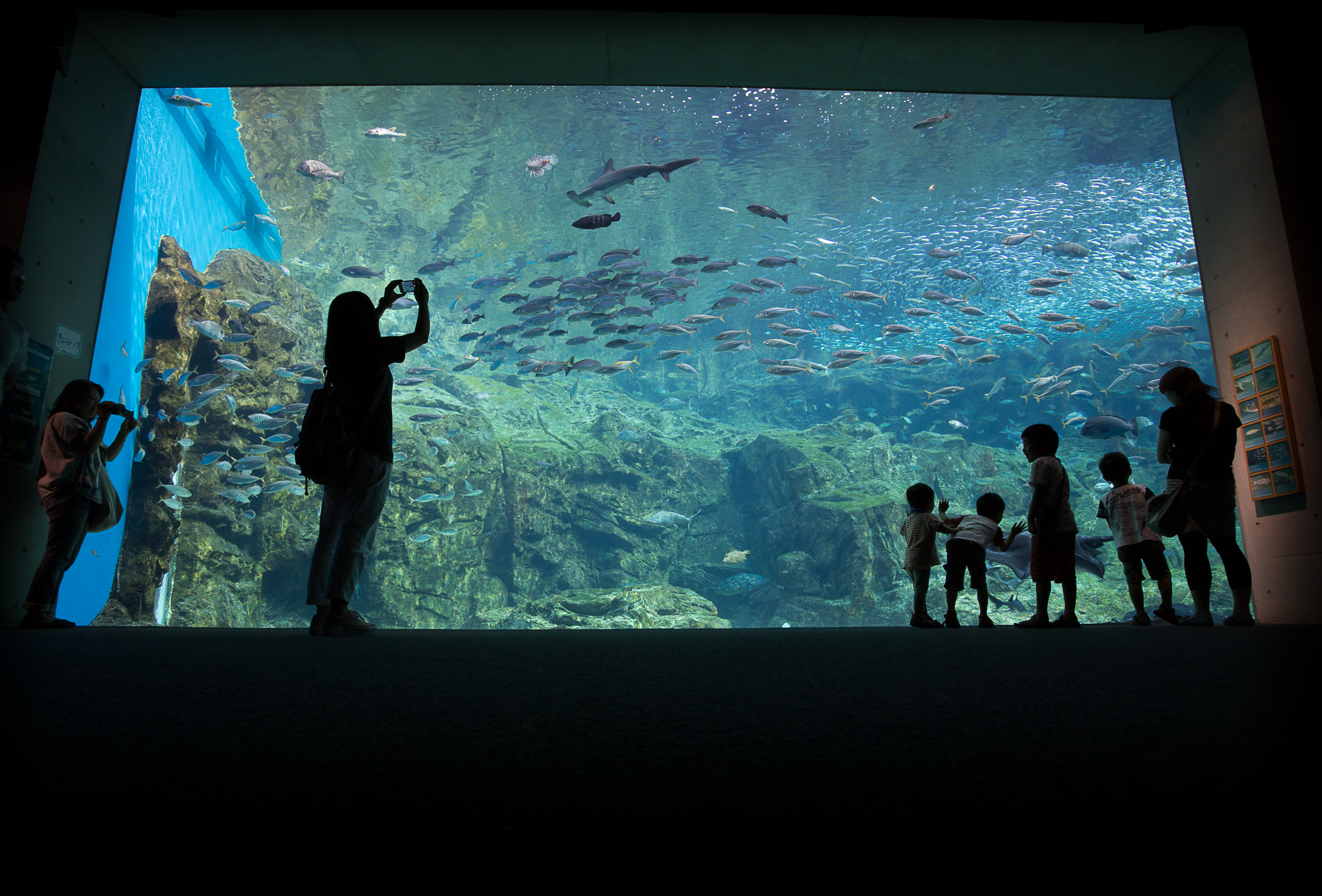 九十九島水族館「海きらら」 サムネイル