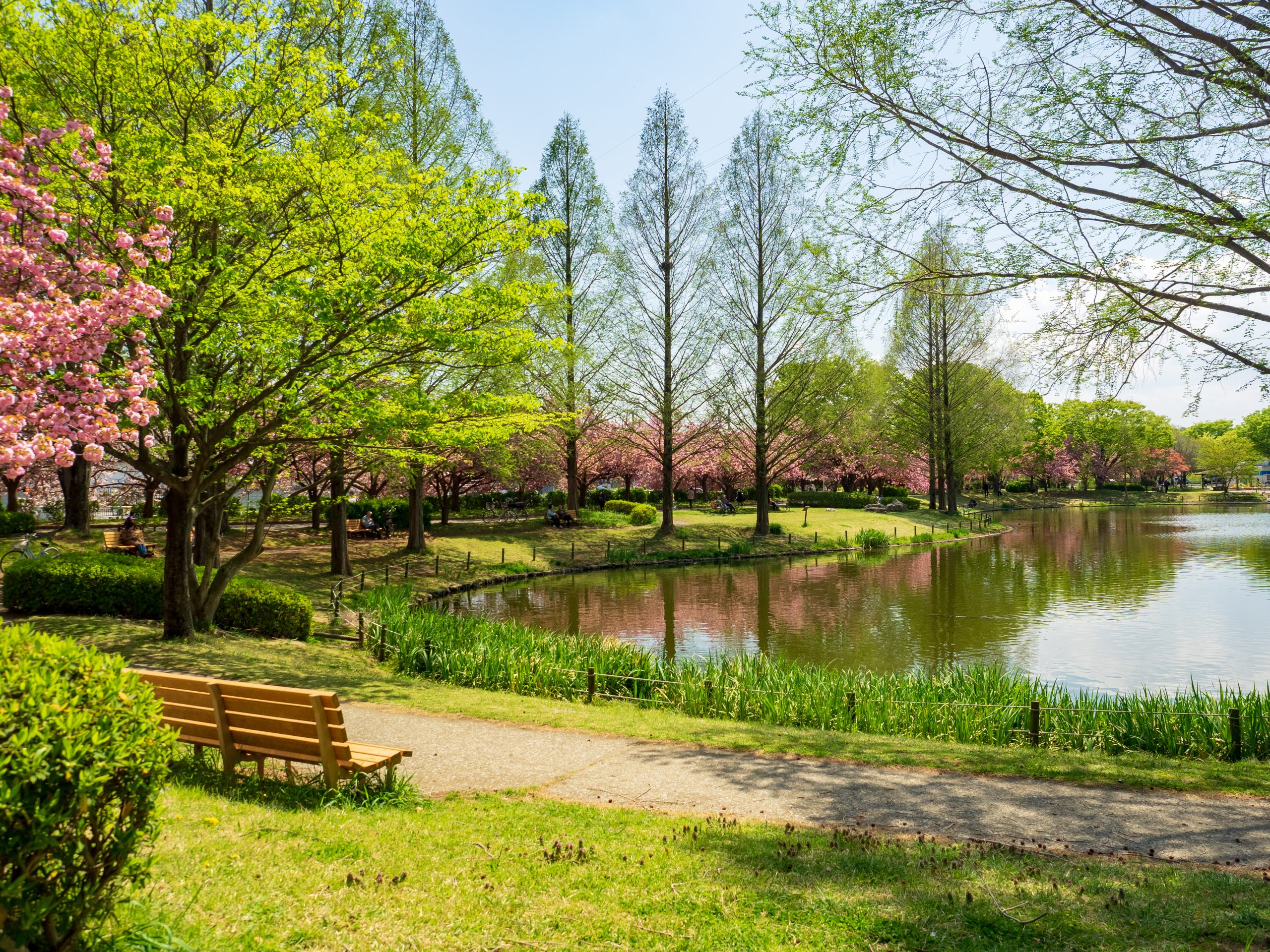 川越水上公園 サムネイル