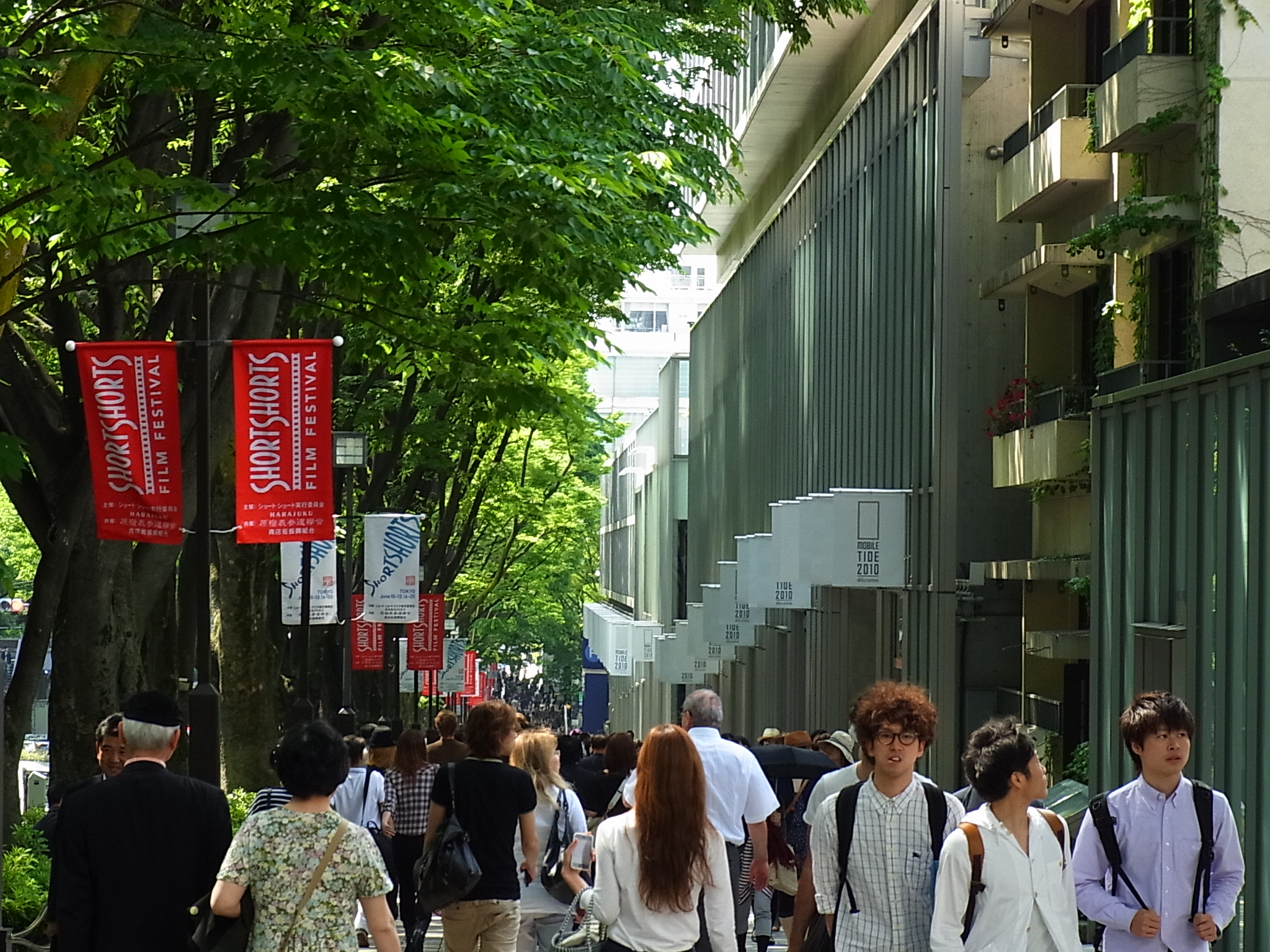  原宿・表参道 サムネイル