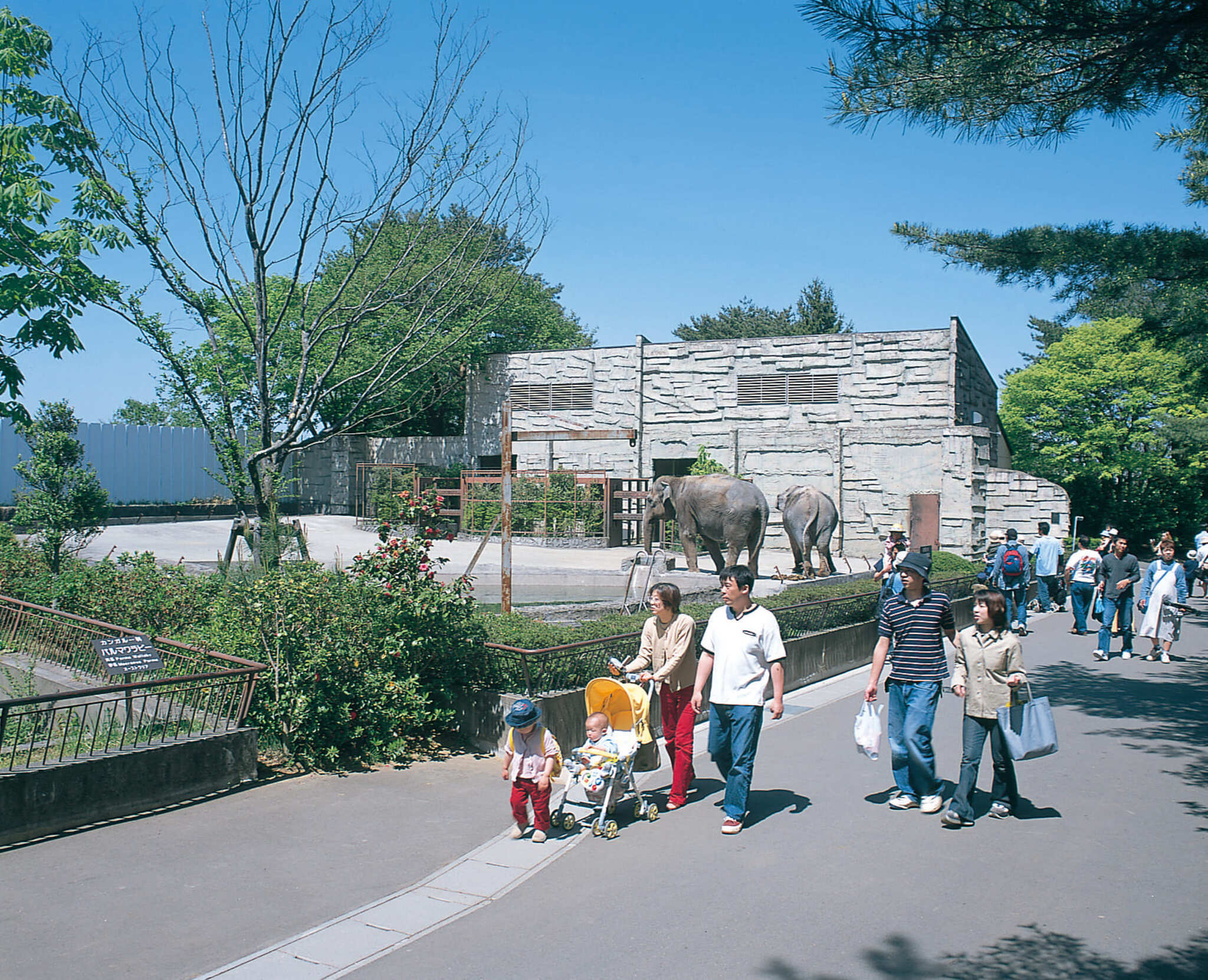 仙台市八木山動物公園 サムネイル