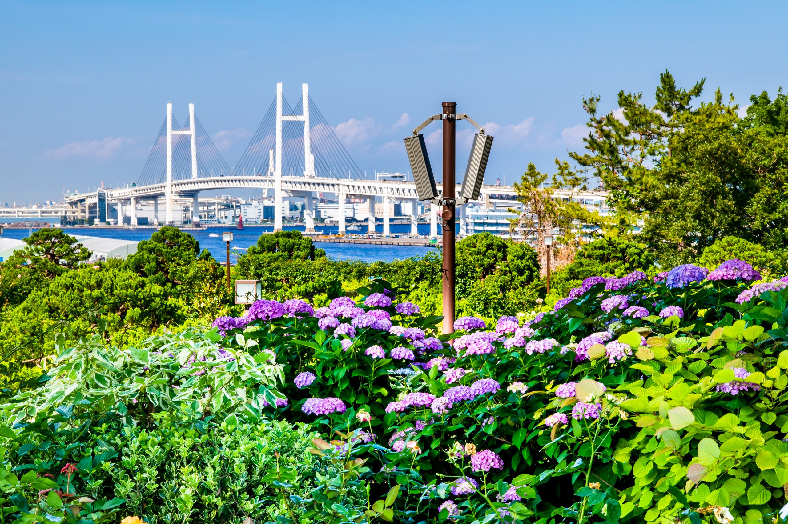 港の見える丘公園 サムネイル