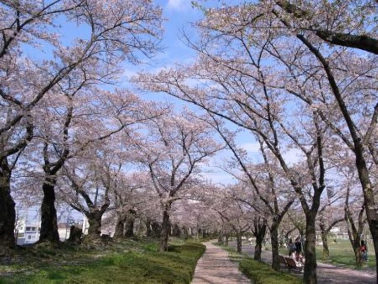 Kaisei Mountain