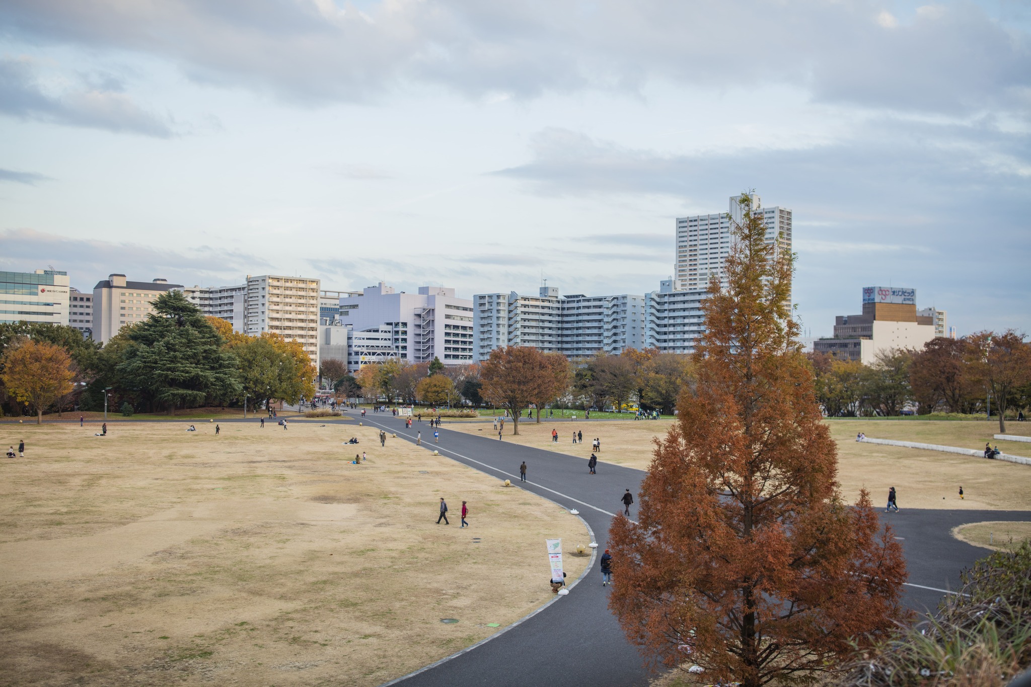 国営昭和記念公園 サムネイル