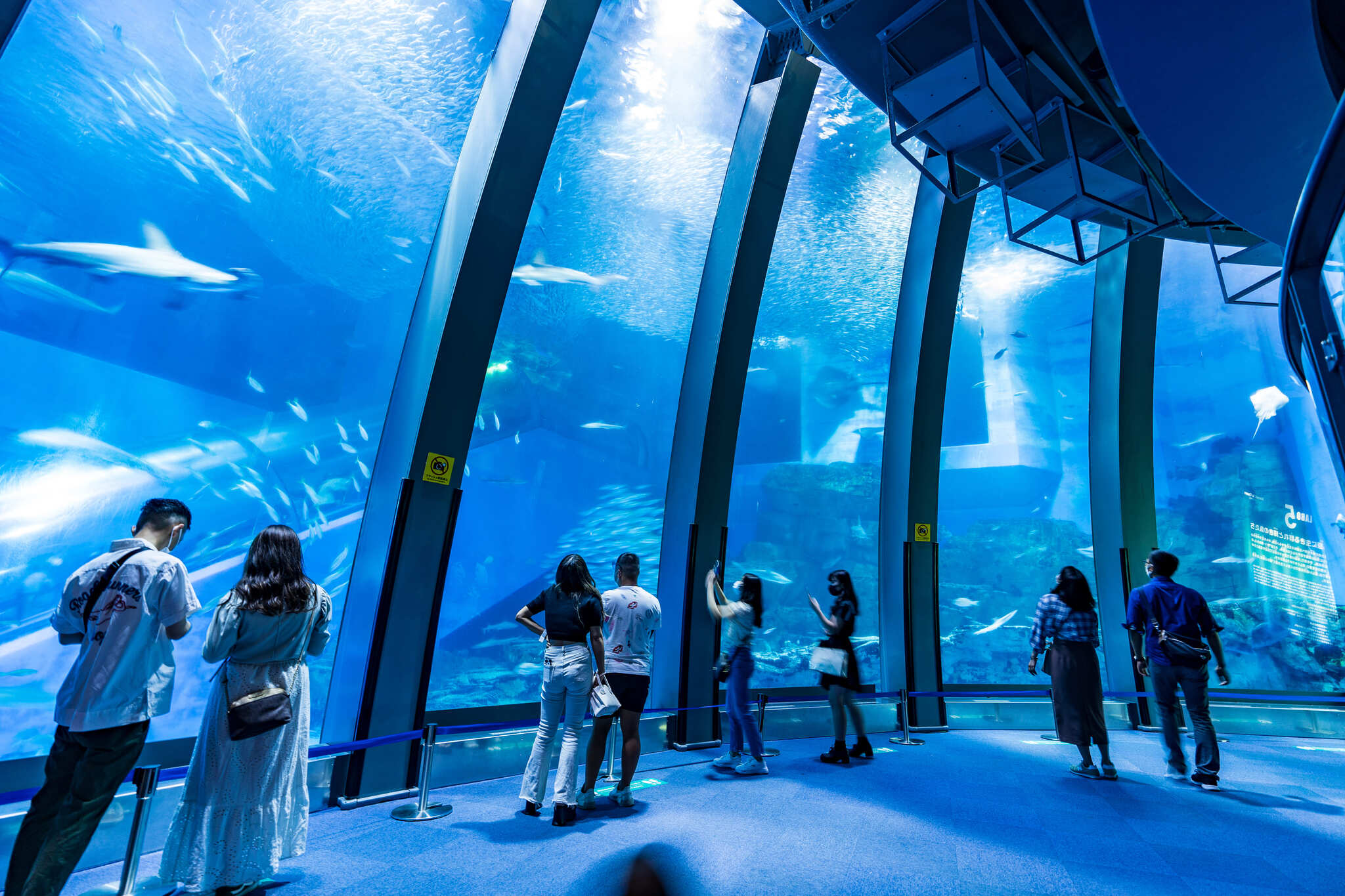 横浜・八景島シーパラダイス サムネイル